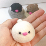 手乗りまんまる文鳥さん♡