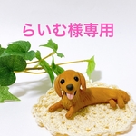 【らいむ様専用】ミニチュアダックス　粘土細工の置物［インテリア 飾り］ 