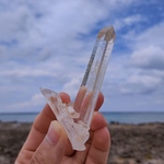 レムリアンシード(Lemurianseed)/ ダウ(Dow)  S00606 天然無研磨