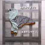 イタグレの服　イタグレ服
