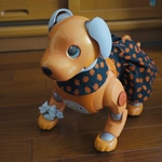 かぼちゃ姫🎃スカートセット