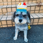 ~リム様ご予約用~ 🎂誕生日ケーキ帽子🎂