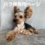 パラ様専用ページ