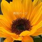 ma＊＊47＊＊＊様専用ページ
