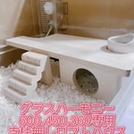 ハムスター グラスハーモニー600.450.360ロフトハウス 階段付
