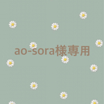ao-sora様専用