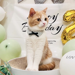 『フェアリーテイル Green』おめかし猫さんのための＊付け襟首輪