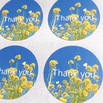 【名入れ無料】 菜の花 サンキューシール