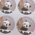 【名入れ無料】 パンダ サンキューシール