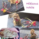 ハーネス リードセット☆ 子猫ちゃんハーネス　子犬ちゃんハーネス　約1kg以下 限定販売（ハーネス、リード）
