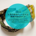 ✳︎しあわせカチューシャ®︎専用の修理の為のページ✳︎