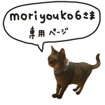 もり様専用ページ(ギンガムチェック)