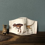 ひな様専用　子供用マスク×6点　