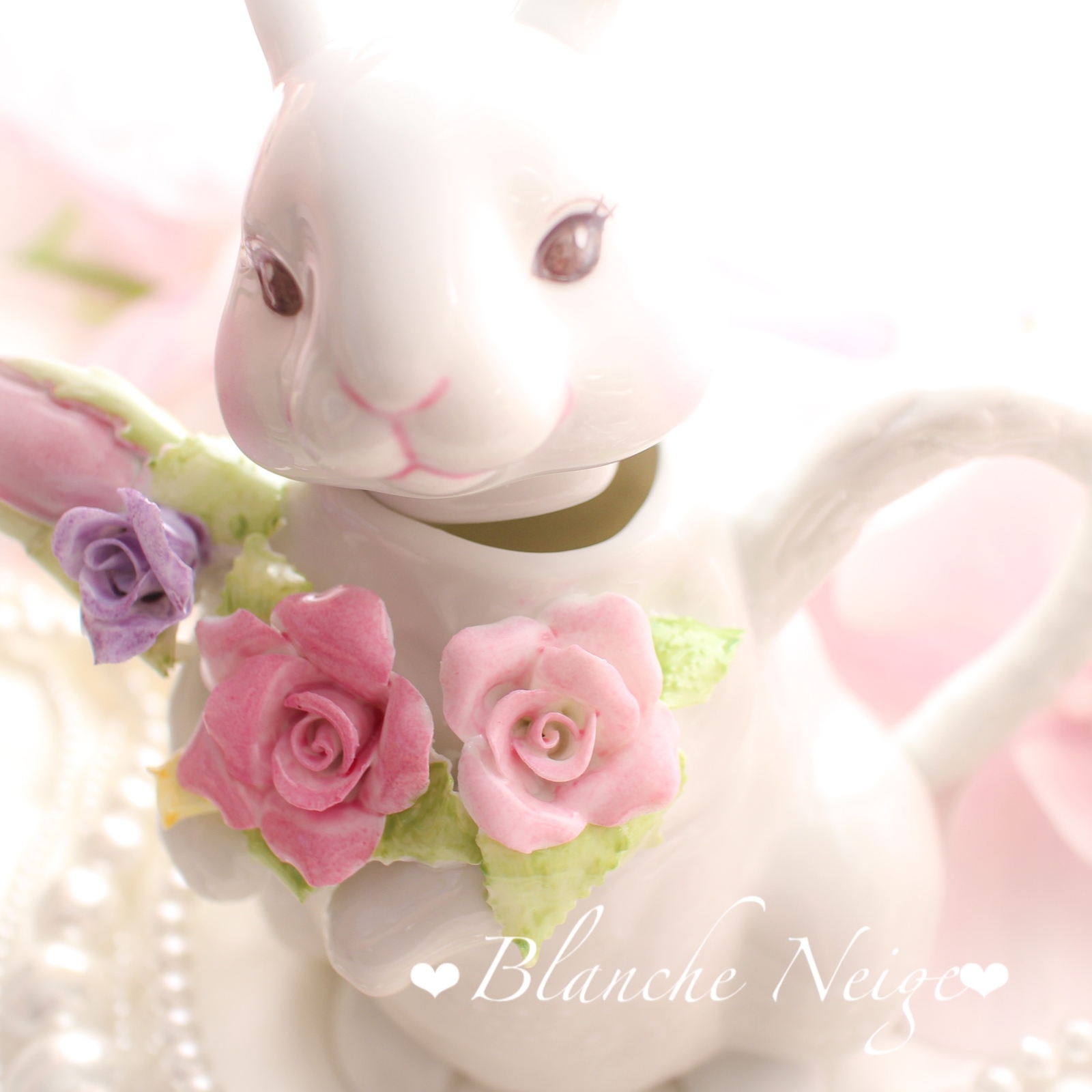 うさぎちゃん・花 71smhdM30CL._UF350,350_QL50_.jpg