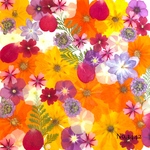 ♡new♡作家様必見♡押し花MIXセット♡押し花セット