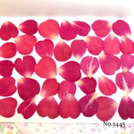 ♡new♡作家様必見♡小さめな花びらがいっぱい♡ 押し花セット
