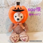 sae様専用ページ