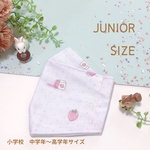 🍓 いちご柄 舟形マスク 大臣マスク 小学生マスクジュニアマスク