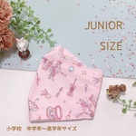 メリーゴーランド柄  ピンク  大臣マスク 小学生  ジュニアサイズ