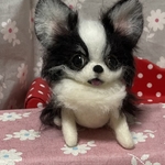 羊毛フェルト　チワワ