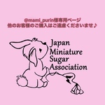 プチシュガープレート３枚セット(①ウサギ②ネコ、③小鳥)