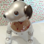 aibo スタイ ラビットストロベリー柄ベージュ