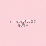 a-inaba0103さま専用＊