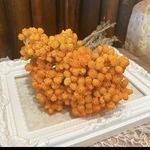 レアサイズイモーテル❣️アレンジ加工オレンジ🍊小分け❣️ハンドメイド花材カラードライフラワー