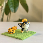 チワワ黒（ちょこん犬シリーズ）ハロウィン