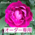 ☆ksef様専用ページです☆ ありがとうございます✴︎