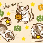 あまに様 専用🎃✨
