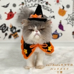 🧡🎃ハロウィンケープ＆お帽子セット🎃🧡　オレンジ✨