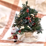 ジュニパーベリーのプチクリスマスツリー　プリザーブドフラワー