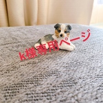 k様専用ページ　シェルティ　ブルーマール　子犬　ミニチュア　犬　置物