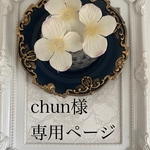 専用ページ