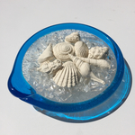 再×5販 シェル型アロマストーン