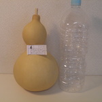 乾燥ひょうたん　大⑥26.3㎝　