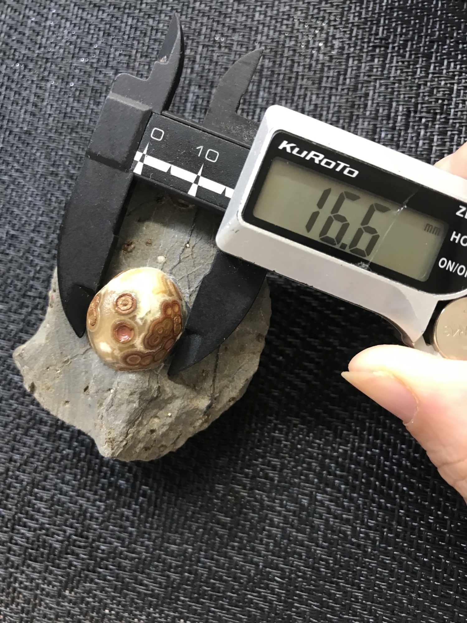ゴビ石−988 眼石 鉱物標本 - HRB-KIKI'S GALLERY | minne byGMOペパボ