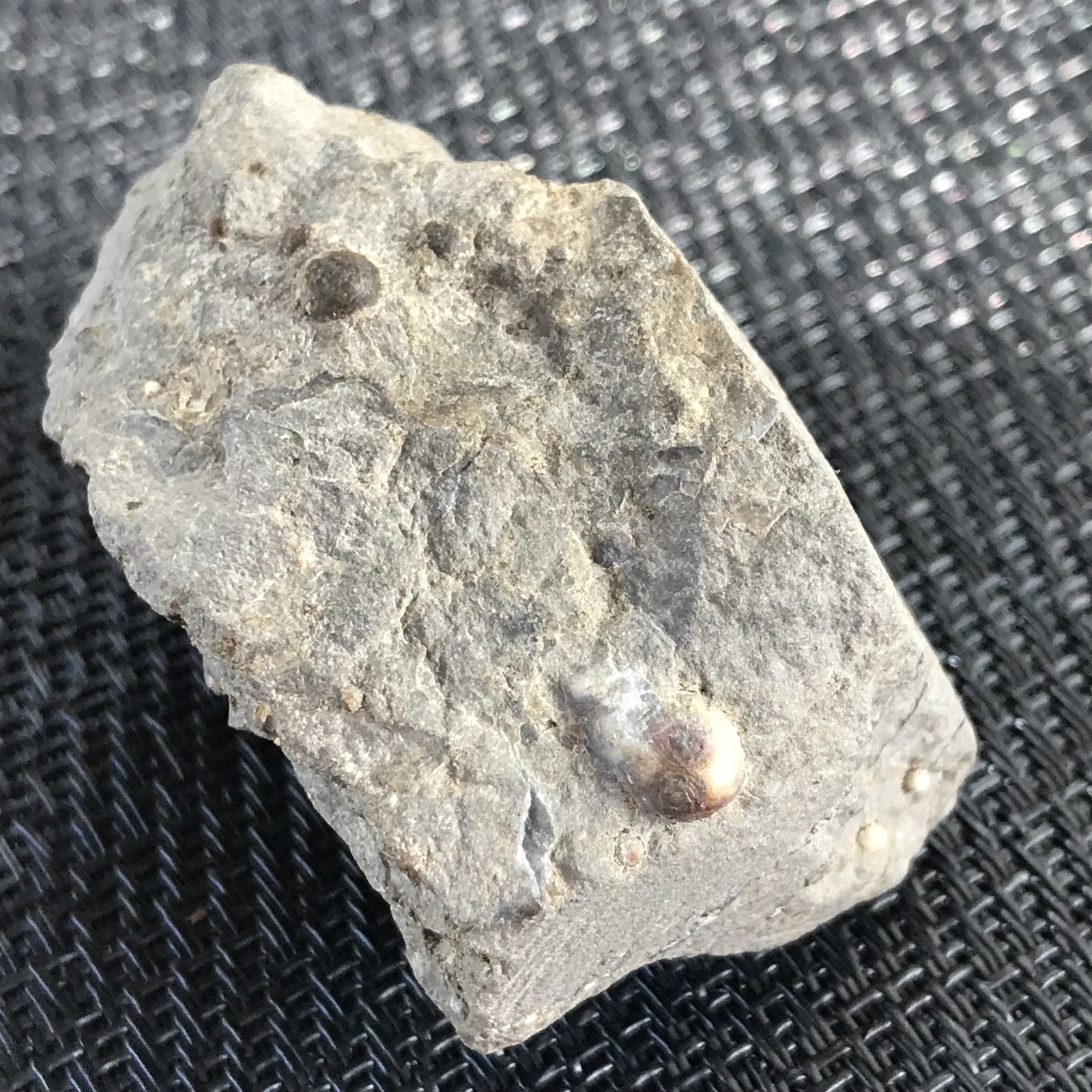 ゴビ石−988 眼石 鉱物標本 - HRB-KIKI'S GALLERY | minne byGMOペパボ