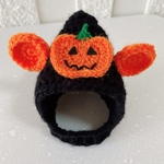 ハロウィンは🧸耳わんちゃんに変身！犬用帽子