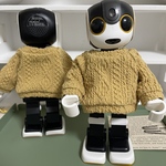 ⑤せーたーかーで(マスタード)