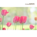 masa様専用ページ   //    𝚋𝚘𝚝𝚊𝚗𝚒𝚌𝚊𝚕 𝚌𝚊𝚗𝚍𝚕𝚎 🕯ﾎﾟﾆｰﾌｯｸ