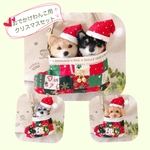 クリスマスセット(おでかけわんこ用)♡パッチワークブーツ&サンタ帽(mii._.wool)