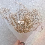 専用♡