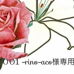001 -rino-aco様専用