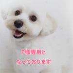 P様専用となっております