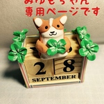 ミュウモちゃん専用です