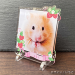 【 ペットフレーム　ナチュラルシリーズ全4種/通常サイズ】 ペットフォトプレート 位牌 仏具 遺影 手元供養