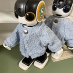 ⑨せーたーかーで(スノーブルー)