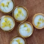 春のちっちゃな押し花ピアス(ほんのりラメ入り)